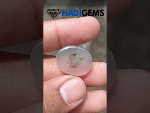 19.3ct Natural Dendritic Agate - Shajri Aqeeq -22x18x5mm