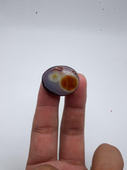 Omlet Agate - Sulaimani Aqeeq