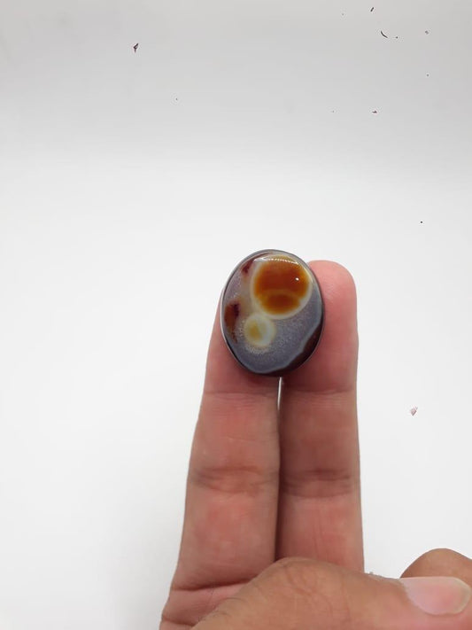 Omlet Agate - Sulaimani Aqeeq
